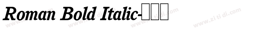 Roman Bold Italic字体转换